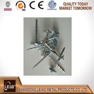 Roofing Nail Galvanized Umbrella Head
