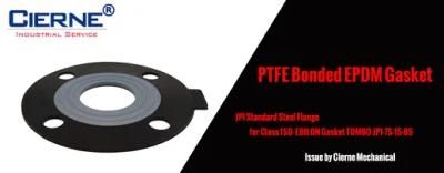 Corrosion Resistant PTFE Rubber Gasket