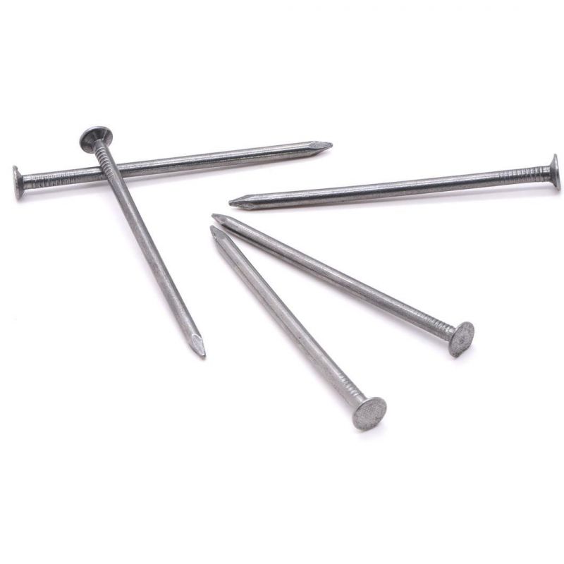 Angola Ethiopia Market/Common Round Nail Iron Wire Nails Polished Common Nails