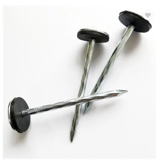 HD Galvanised 3" X 9ga 25kg Box Roofing Nails with Umbrella Head /Jolt Head Nails /Roofing Nails