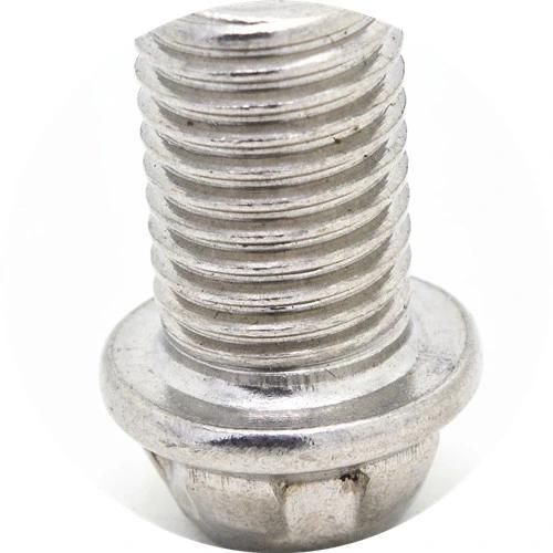 Stainless Steel 304 or 316 Custom Flange Head Screw/Customize Screw