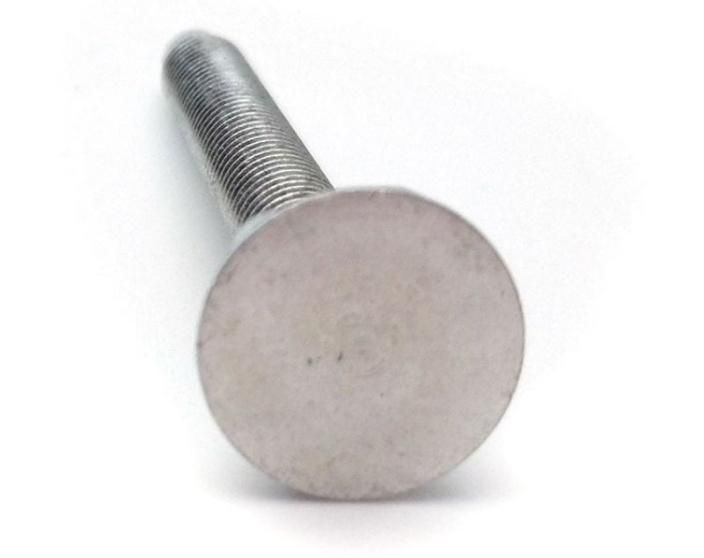 Zinc Coated Galvanized Shoulder Step Machine Steel Special Screw