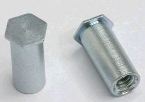 Flat Head Blind Rivet Nut