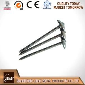 Umberlla Head Galvanized Roofing Nail
