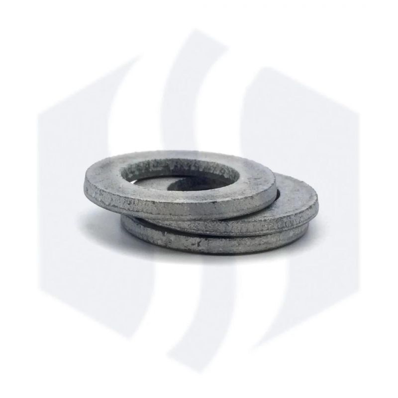DIN6796 DIN125 DIN6921 DIN125A Hot DIP Galvanizing Butterfly Washer Flat Washer