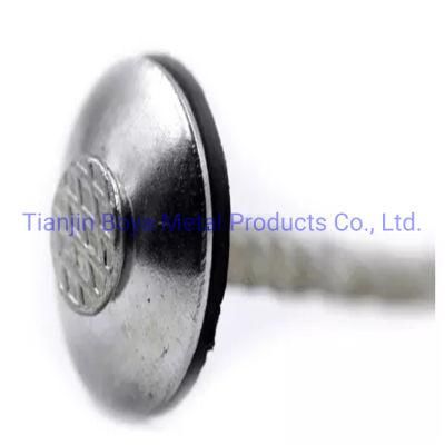 Roofing Nails /Nail Twisted Shank Galvanized Finished Assembled Roofing Nails