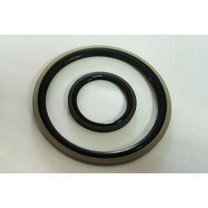 Rubber Seal Polytetrafluoroethylene Glyd Ring