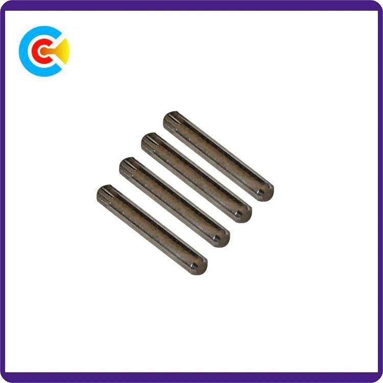 SS304 Dowel Pin with Internal Thread (DIN7979)