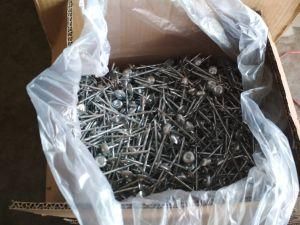 Galvanized Umbrella Head Roofing Nail Manufacturer