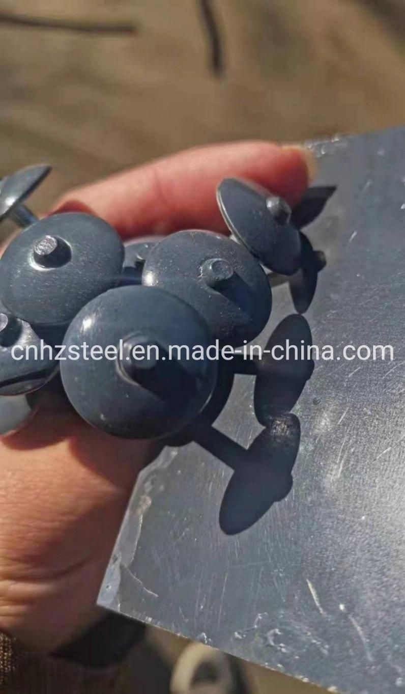 Umbrella Twist Shank Roofing Nails/ Wire Nails / Iron Nails