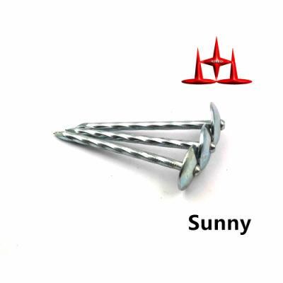 Galvanized Smooth Shank Roofing Nails with Umbrella Head