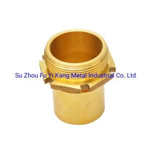 Brass DIN Male Thread Fitting with En14420-3 Safety Clamp