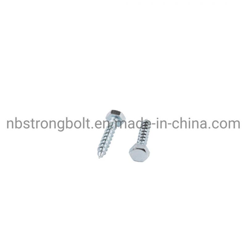 Hex Lag Screw with Zinc