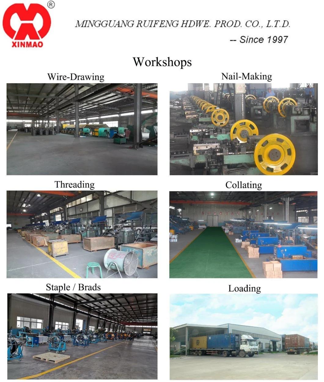 Factory Supply Direct Manufacturer in Anhui Galvanized BCS4 Series 16ga Heavy Wire Staples.