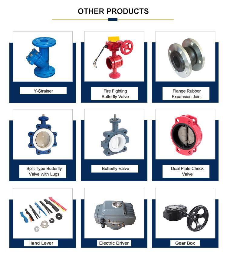 Flanged End Y Strainer Y Stype Filter Butterfly Valve
