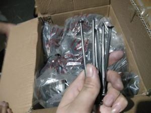 Nail Factory Common Nails with Best Price