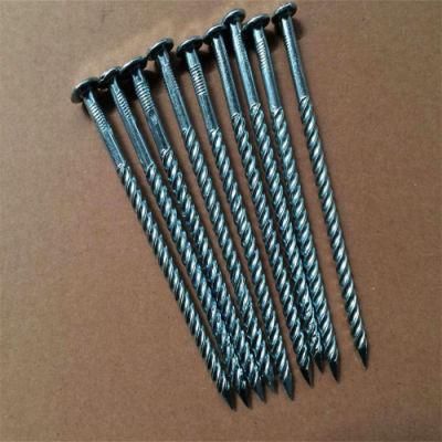 Galvanized Thread Nail/Ribbed Nail with Twist