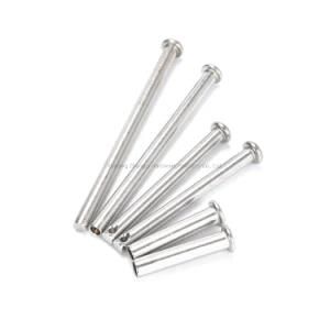 Customized Stalnless Steel Dowel