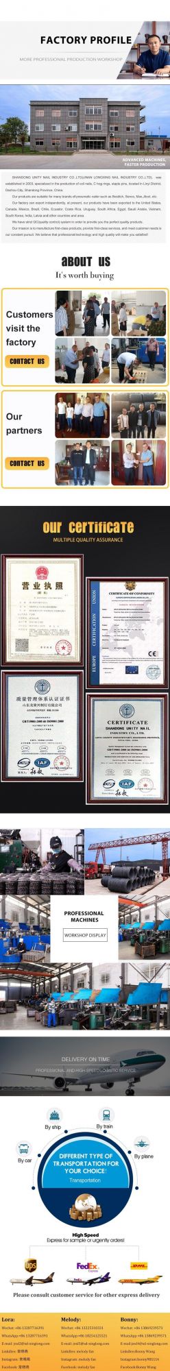 High Quality Coil Nail 2.5*50 From Factory for Pallet