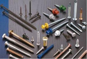 Self Drilling Screws (SS01)