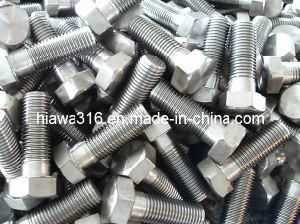 Stainless Steel Hex Bolt, ISO 4017, ISO 4014, Ss304, Ss316 (M33)