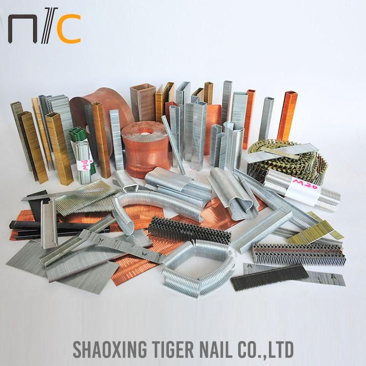 Grapas; Staple; Nail; Clavos; Divergent Point Staple