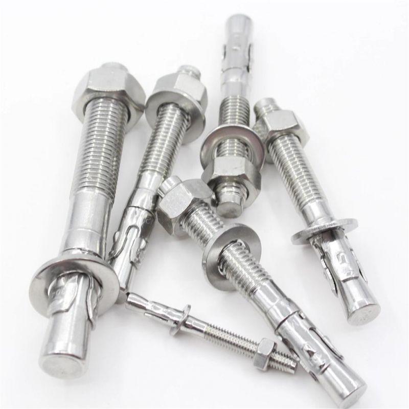 Rts Earth Anchor Stainless Steel SS304 Wedge Hex Bolt Anchors Bolts Manufacturer Wedge Anchor Bolt and Nut