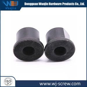 OEM Customzied Made Black Blind Rivet/Pipe Nut Steel Furniture Nut