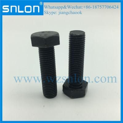 Class8.8 Black Finish High Quality Hex Bolt Hex Screw