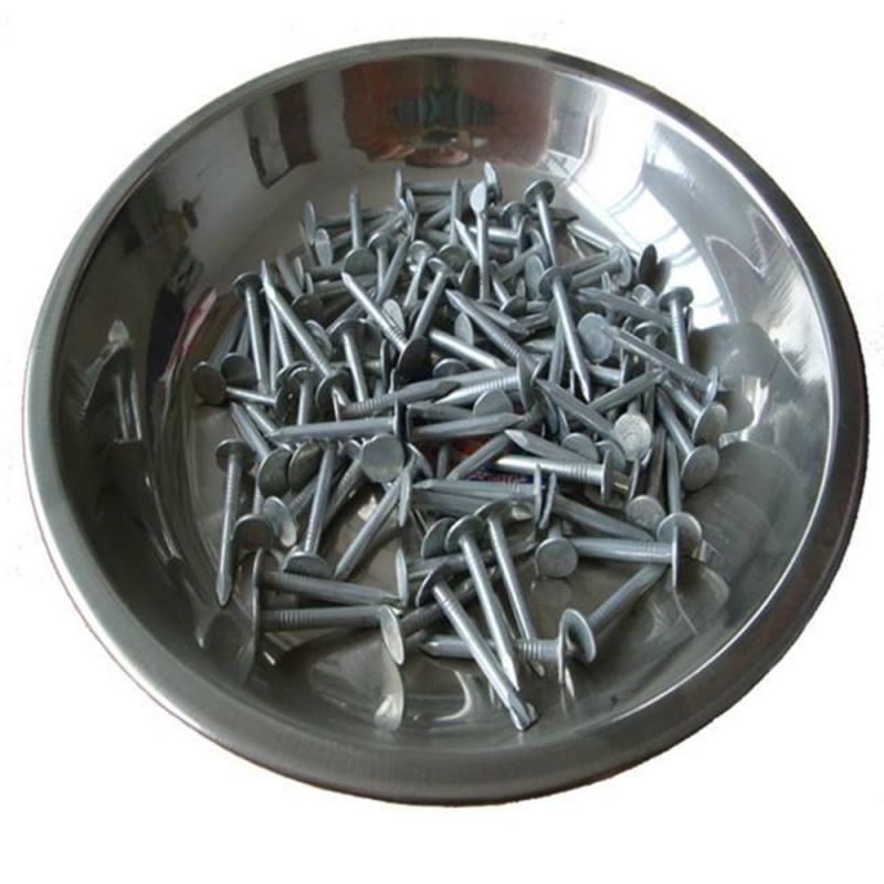 Galvanized Linoleum Nails for Construction