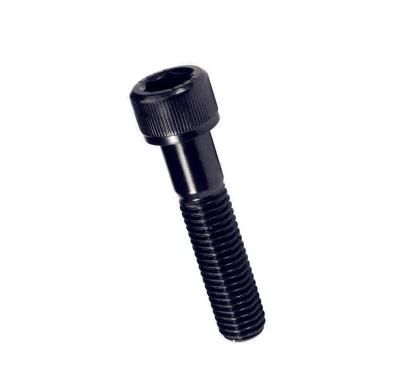 Stainless Steel Hex Socket Bolts with Black Zinc Plated Cheap and Precise