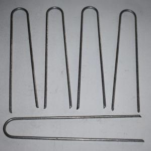 Electro Galvanized U Type Garss Nail