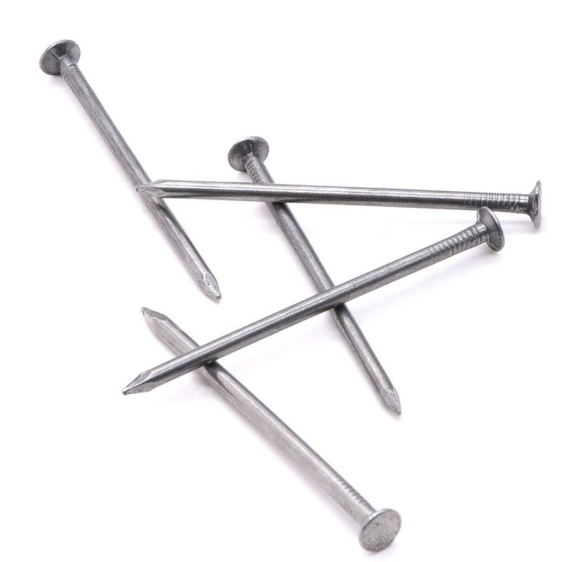Polished Common Iron Nails Clavos Round Head Nails