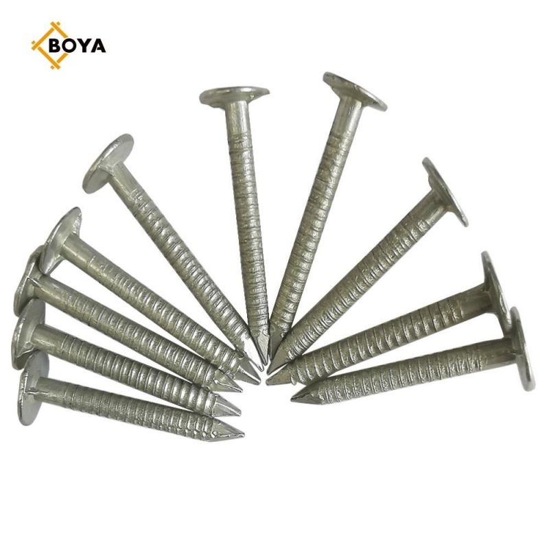 Hot Sale Ring Nail with Competitive Price