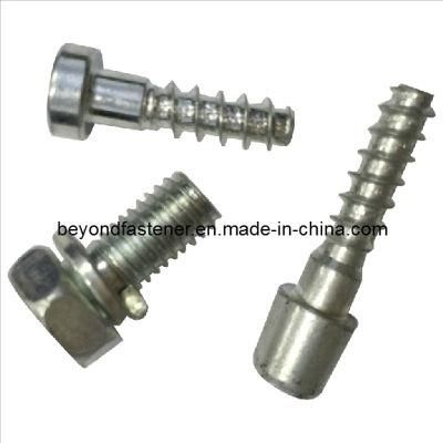 Screw Special Screw Non-Standard Screw Hex Socket Cap Screw Self Tapping Screw