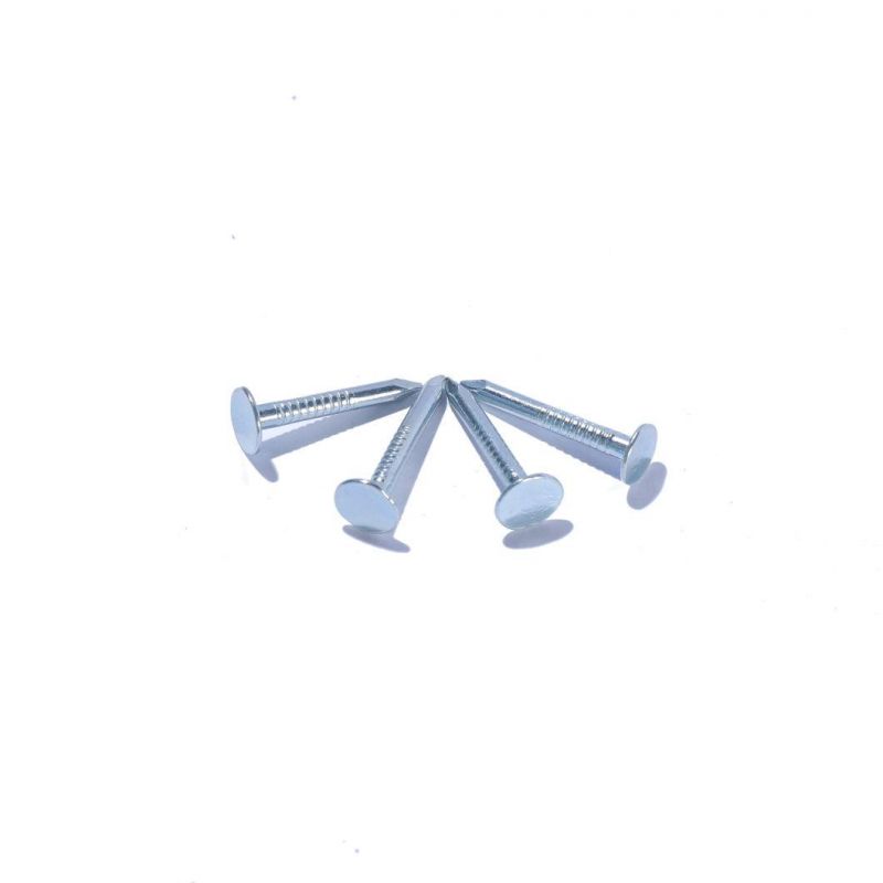 Hot Dipped Galvanized Clout Head Nail Cupper Nails Flat Head Roofing Nails