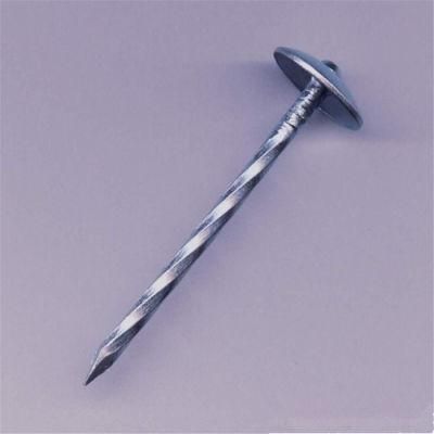 Export African Roofing Nail Color Steel Tile with Color Corrugated Nail