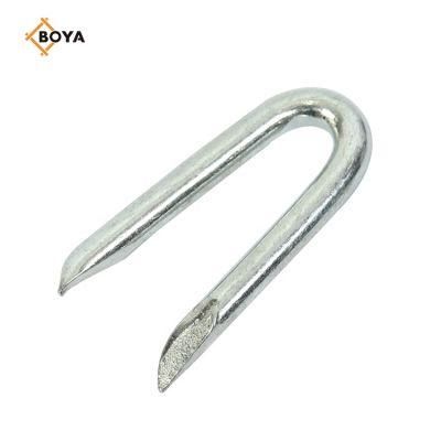 Export Standard Barbed U Shape Iron Wire Nail Common Diamond Sharp U Type Nail