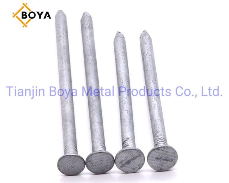 Common Nail/Polished Nail/Building Nail/Common Round Head/Iron Nail/Wire Nail/Hardware
