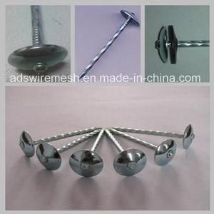 Bwg8 2.5&prime;&prime; Twisted Shank Umbrella Head (ISO9001)