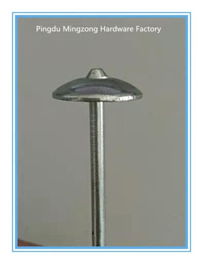 ø 3.0*60.2mm Galvanized Roofing Nails with Smooth Shank and Umbrella Head