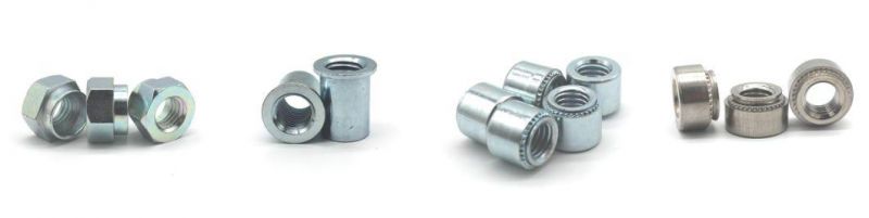 Customized Hex Socket Head Screws and Washers