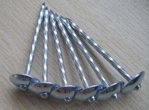 Factory High Quality of China Umbrella Head Roofing Nails