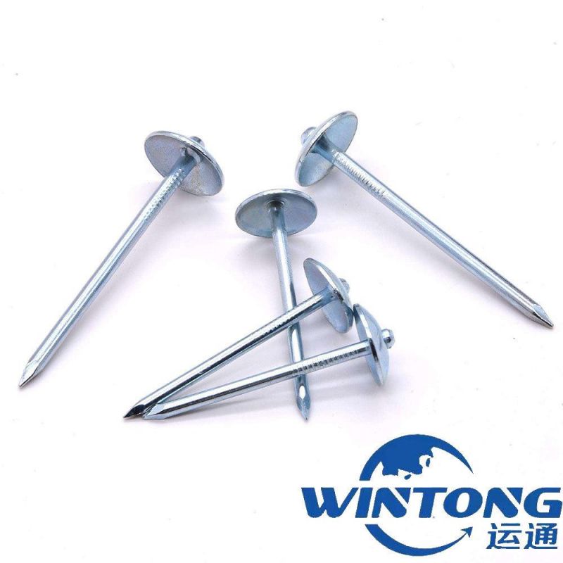 Twisted Shank Galvanized Umbrella Head Roofing Nails