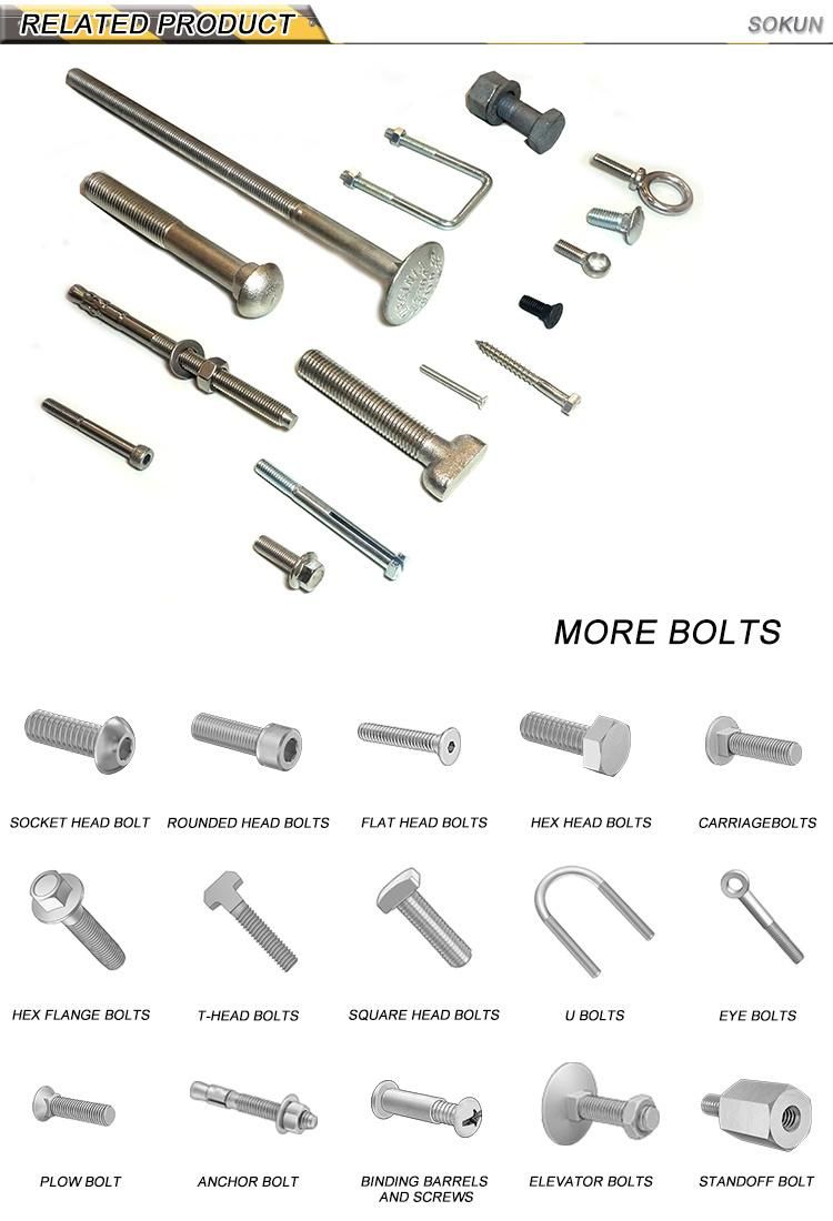 DIN603 Carriage Bolt Carbon Steel Galvanized Carriage Bolt/ Round Head Square Neck Bolt/Mushroom Head Bolt