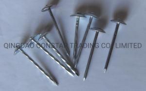 Hot Sale Galvanized Smooth Roofing Nail with Big Umbrella Head