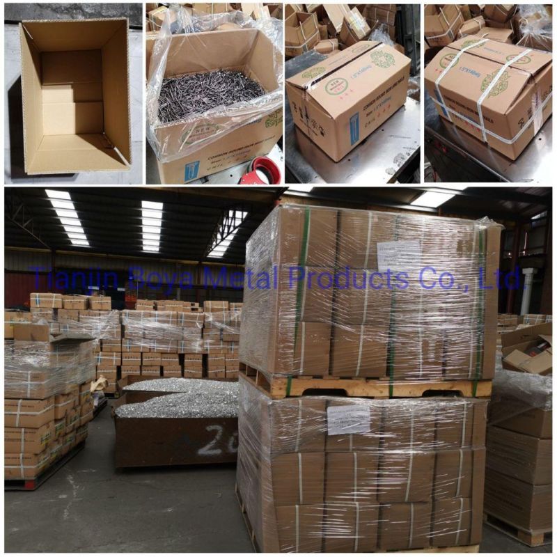 China Nails Factory Top Quality Clout Head Zinc Coated Cupper Nails