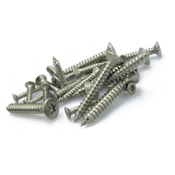 Stainless Steel Flat Head Security Self Tapping Screws