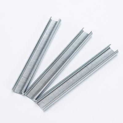 Chinese Factory Supply Sc-660 C Ring Staple for Car Seat Furniture Wholesale C Ring Nail Hog Ring Staple