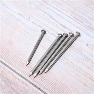 Hardware Nails Iron Nails Concrete Floor Nails